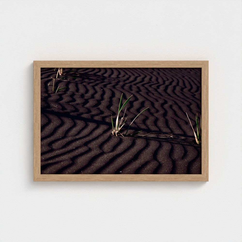 A framed landscape photograph of dark rippled sand dunes with small green grasses, presented in a light natural wood frame against a plain white wall.