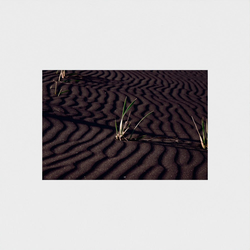 A rectangular photographic print showing dark rippled sand or soil with sparse green grasses, centered on a light gray background.