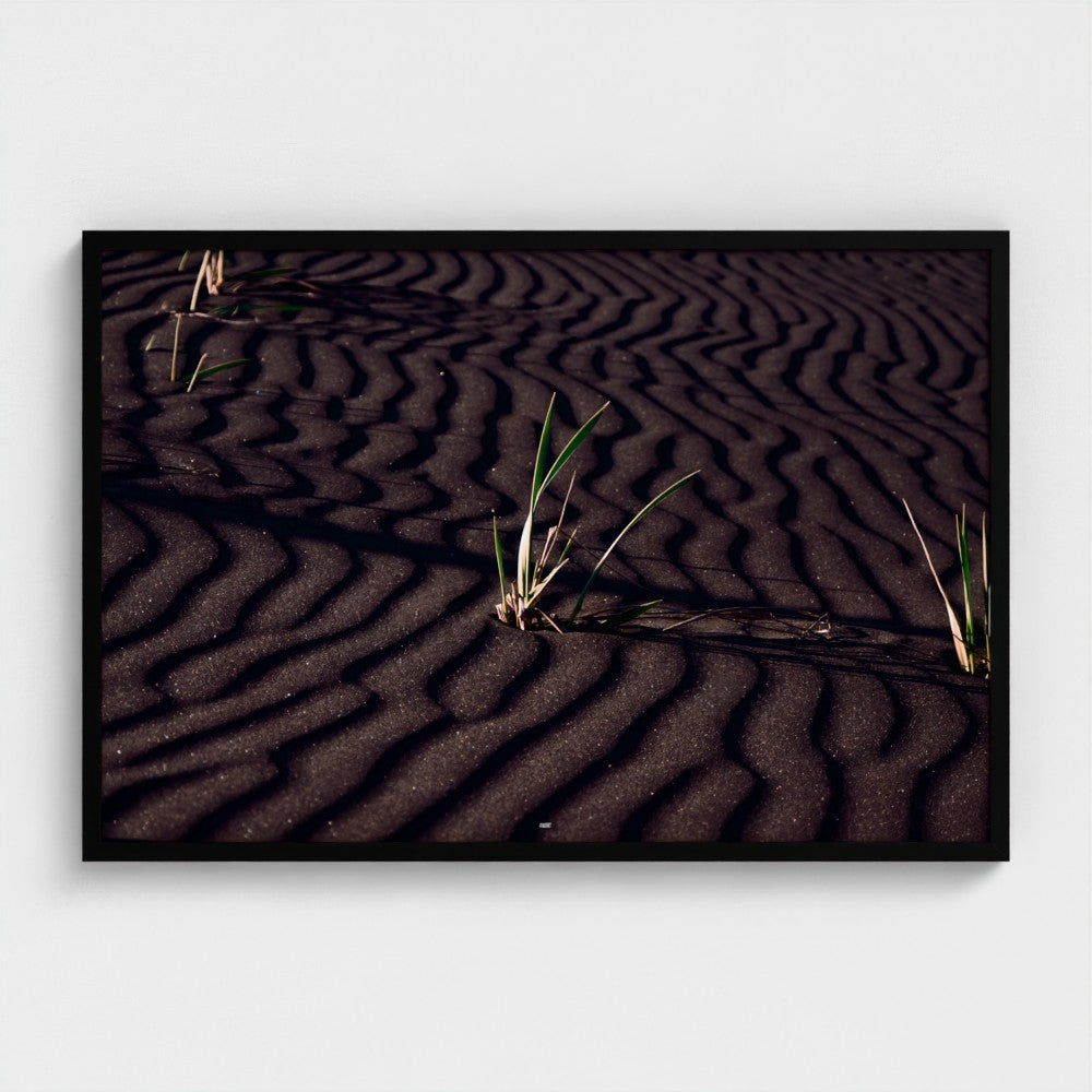 A framed photographic print of dark rippled sand dunes with small green grasses, displayed against a light gray wall.
