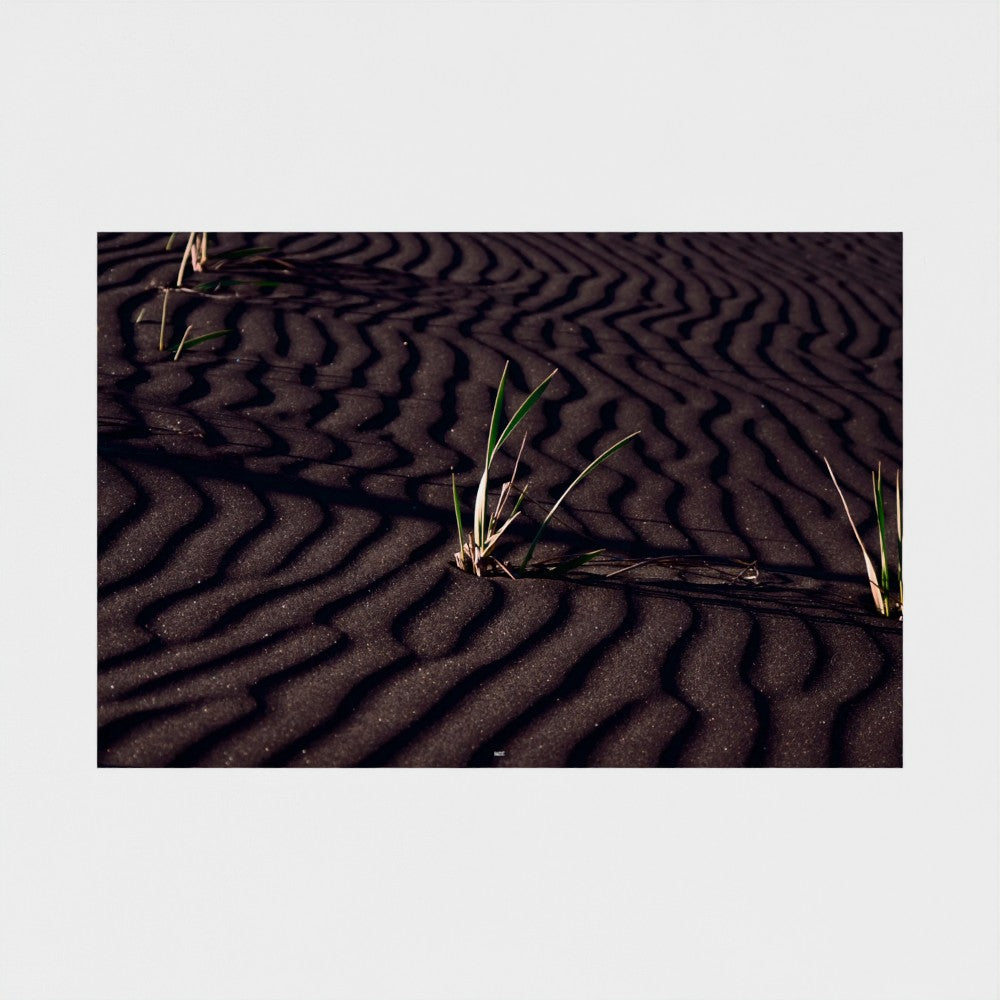 A square photographic print of dark rippled sand with sparse green grass, centered on a light gray background.