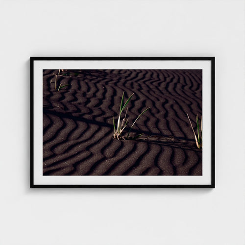A framed photographic print of dark sand ripples with small green grasses, displayed on a light gray wall.