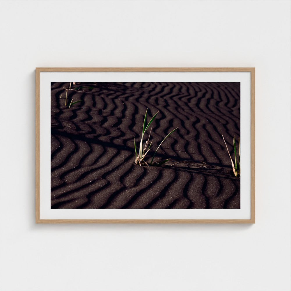 A framed photographic print of dark sand dunes with wind-rippled patterns and small green grasses, displayed on a light gray wall.