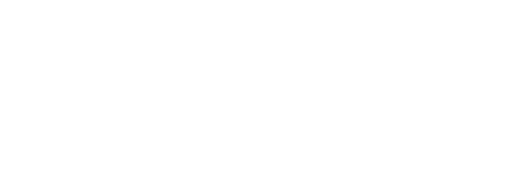 BASIC. MEDIA