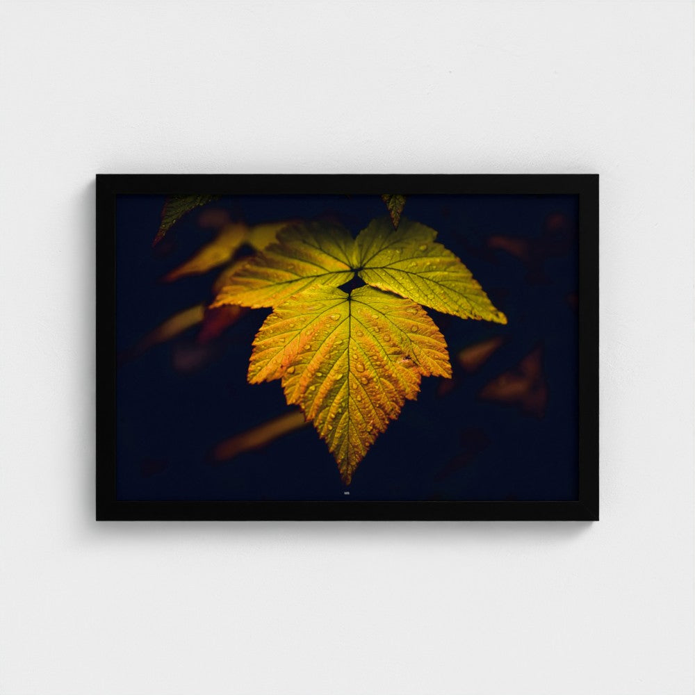 A framed art print featuring a close-up photograph of a vibrant yellow and orange autumn leaf against a dark background, enclosed in a simple black frame and mounted on a light gray wall.