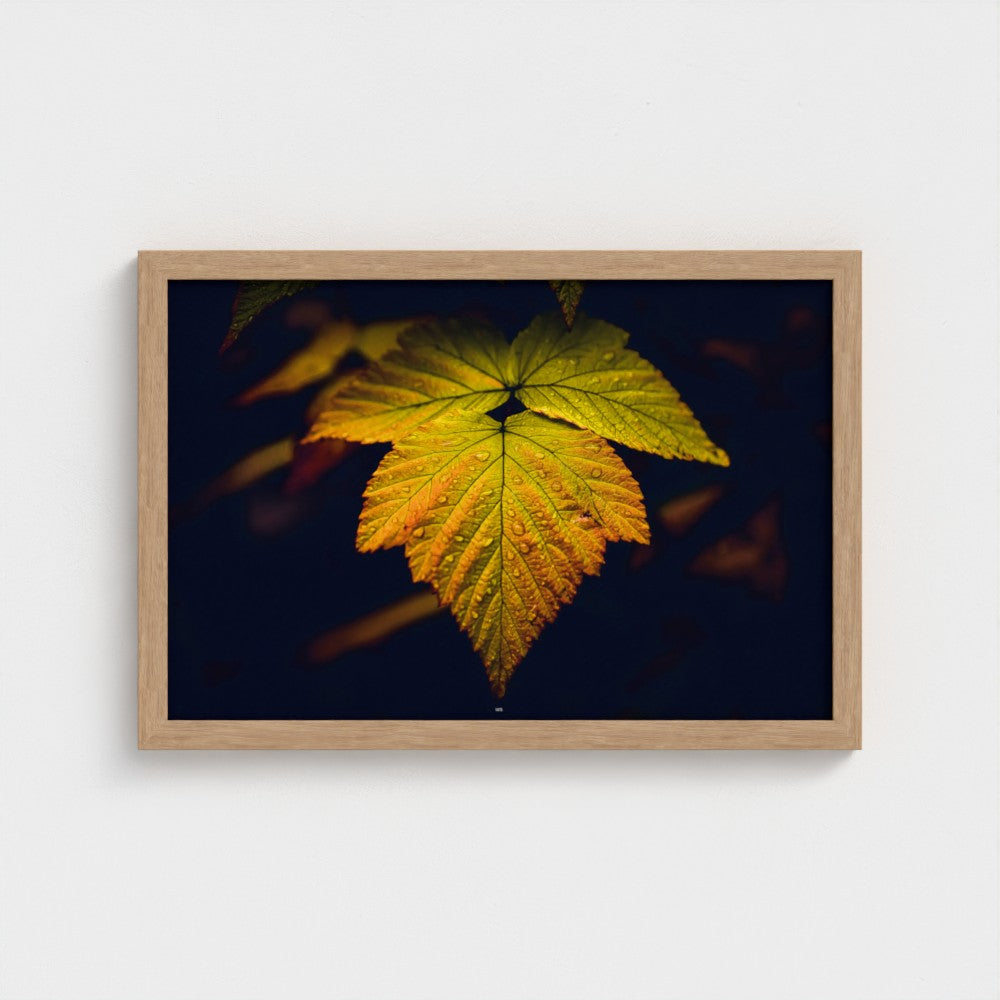 A framed art print featuring a close-up photograph of a vibrant yellow and orange autumn leaf against a dark background, enclosed in a light natural wood frame and mounted on a white wall.