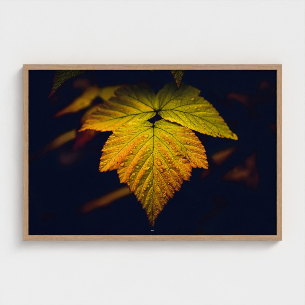 A framed art print featuring a close-up photograph of a vibrant yellow and orange autumn leaf with water droplets against a dark background, enclosed in a light natural wood frame.
