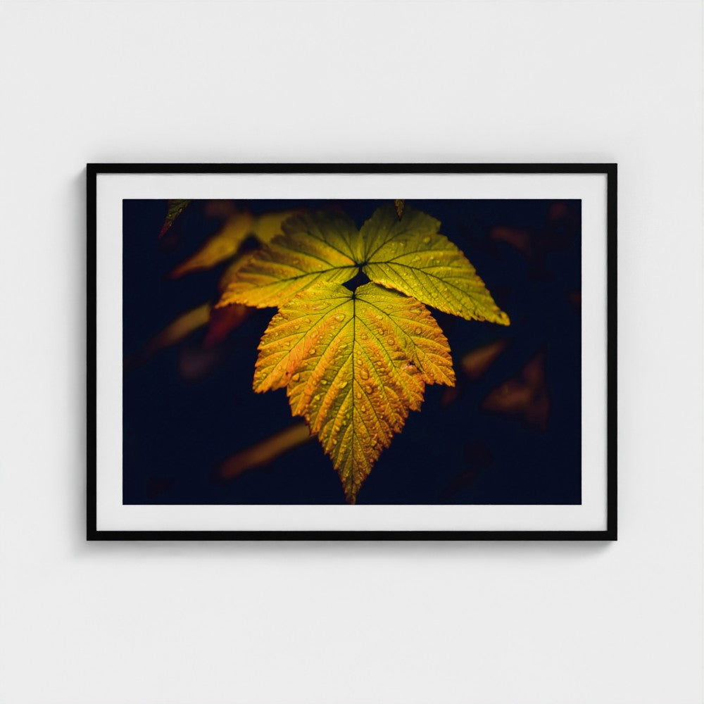 A framed art print featuring a close-up photograph of a vibrant yellow and orange autumn leaf against a dark background, presented in a black frame with a white mat on a light gray wall.