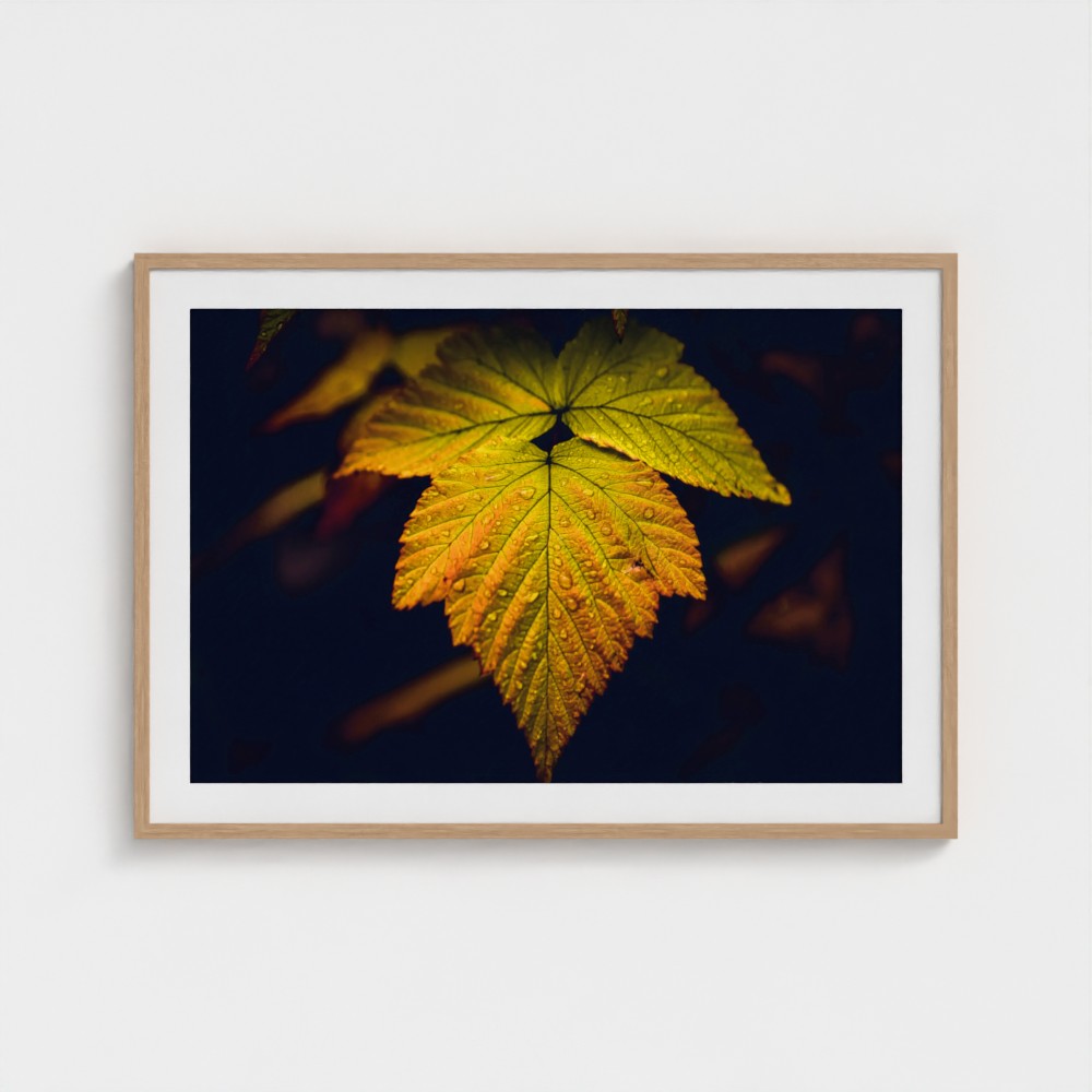 A framed art print featuring a close-up photograph of a vibrant yellow and orange autumn leaf against a dark background, housed in a light wood frame with a white mat.