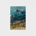 Seals swimming in clear blue water near a rocky shore