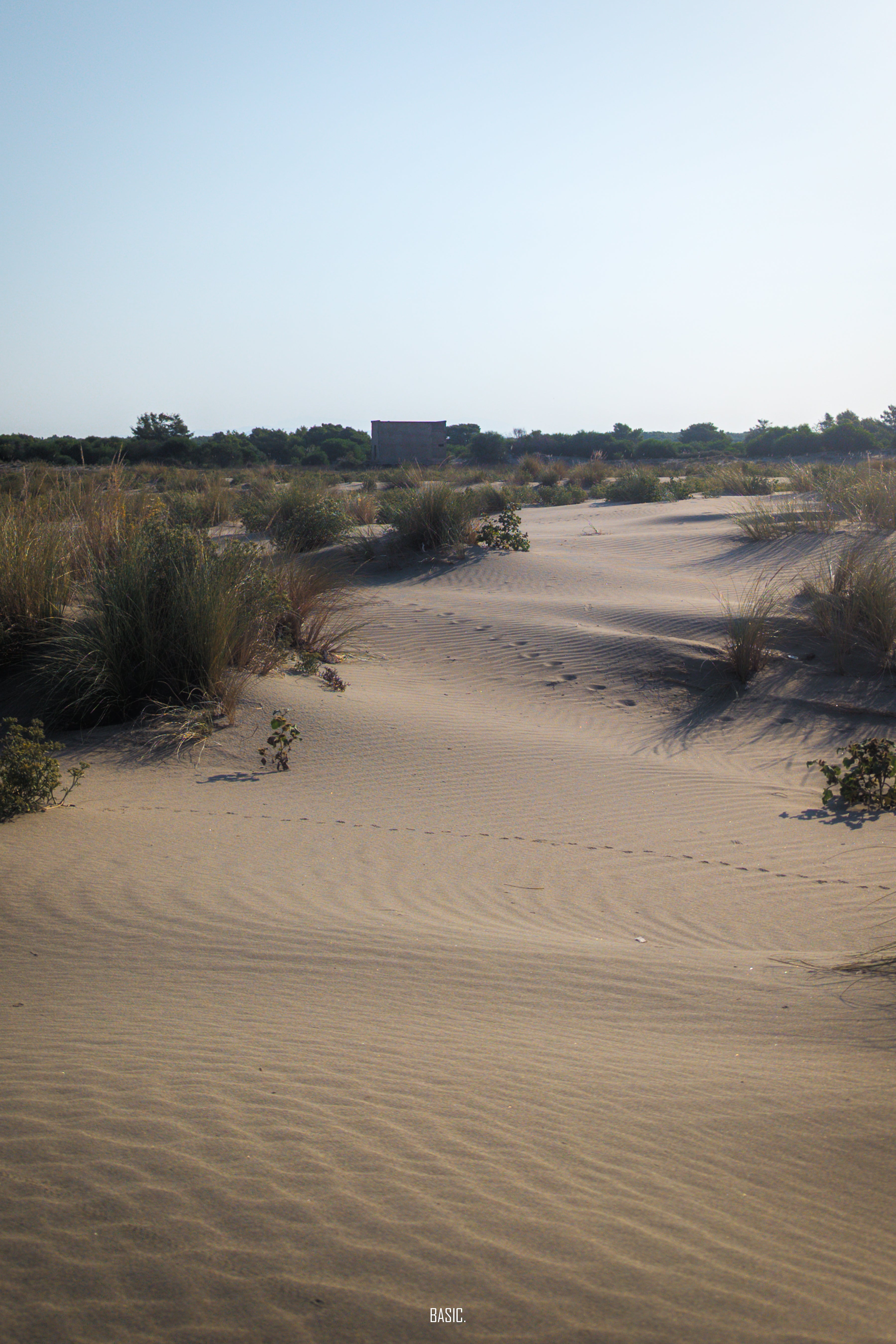 Desert landscape with sand dunes and sparse vegetation under a clear sky.