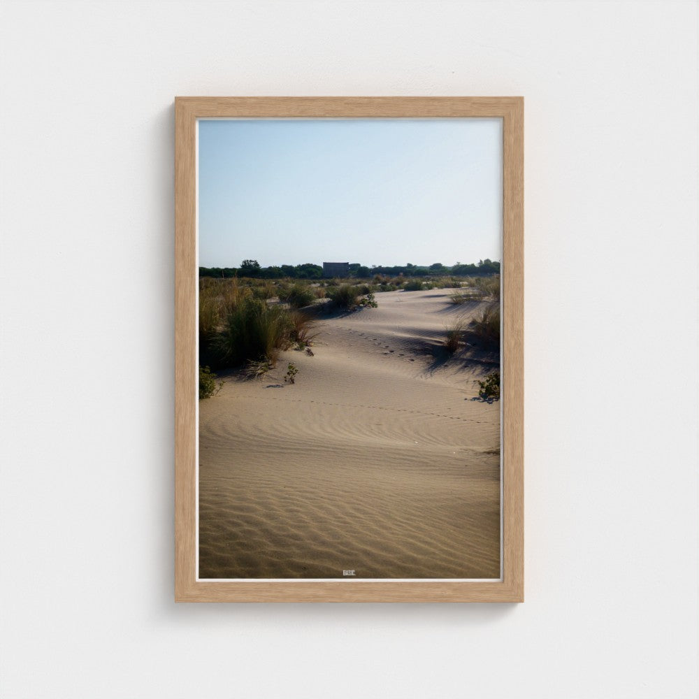 Framed photograph of a desert landscape with sand dunes and sparse vegetation.