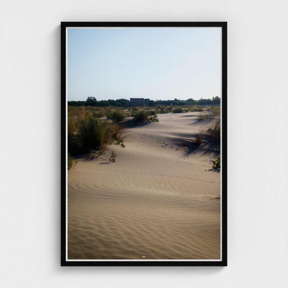 Framed photograph of a desert landscape with sand dunes and sparse vegetation.