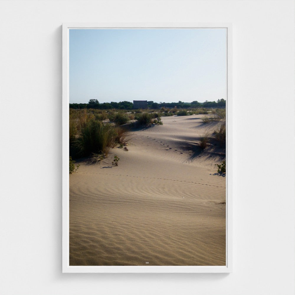 Desert landscape with sand dunes and sparse vegetation under a clear blue sky.