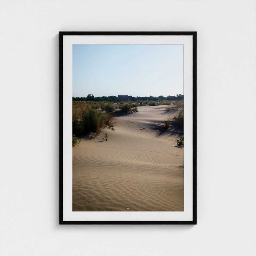 Framed photograph of a desert landscape with sand dunes and sparse vegetation.