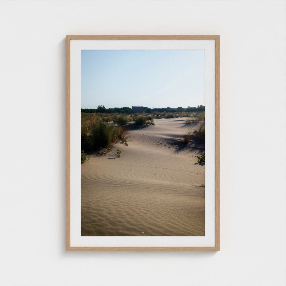 Framed photograph of a desert landscape with sand dunes and sparse vegetation.