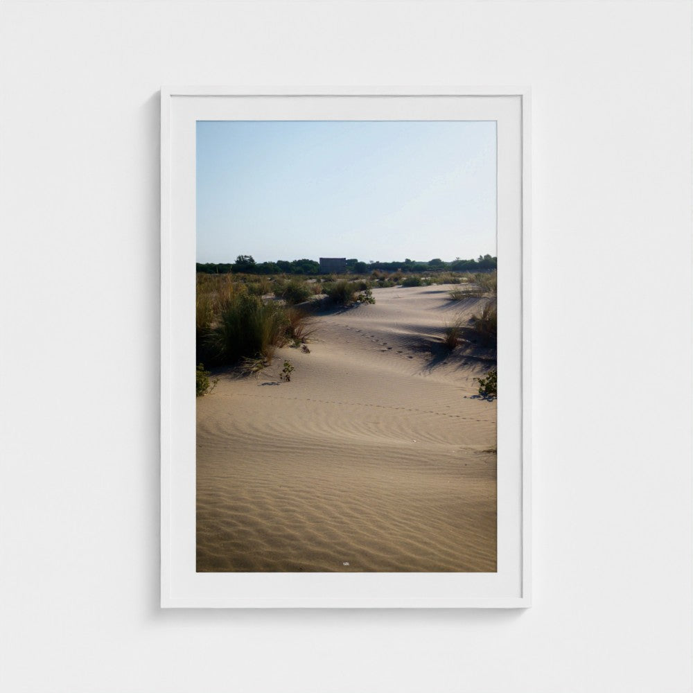 Framed photograph of a desert landscape with sand dunes and sparse vegetation.