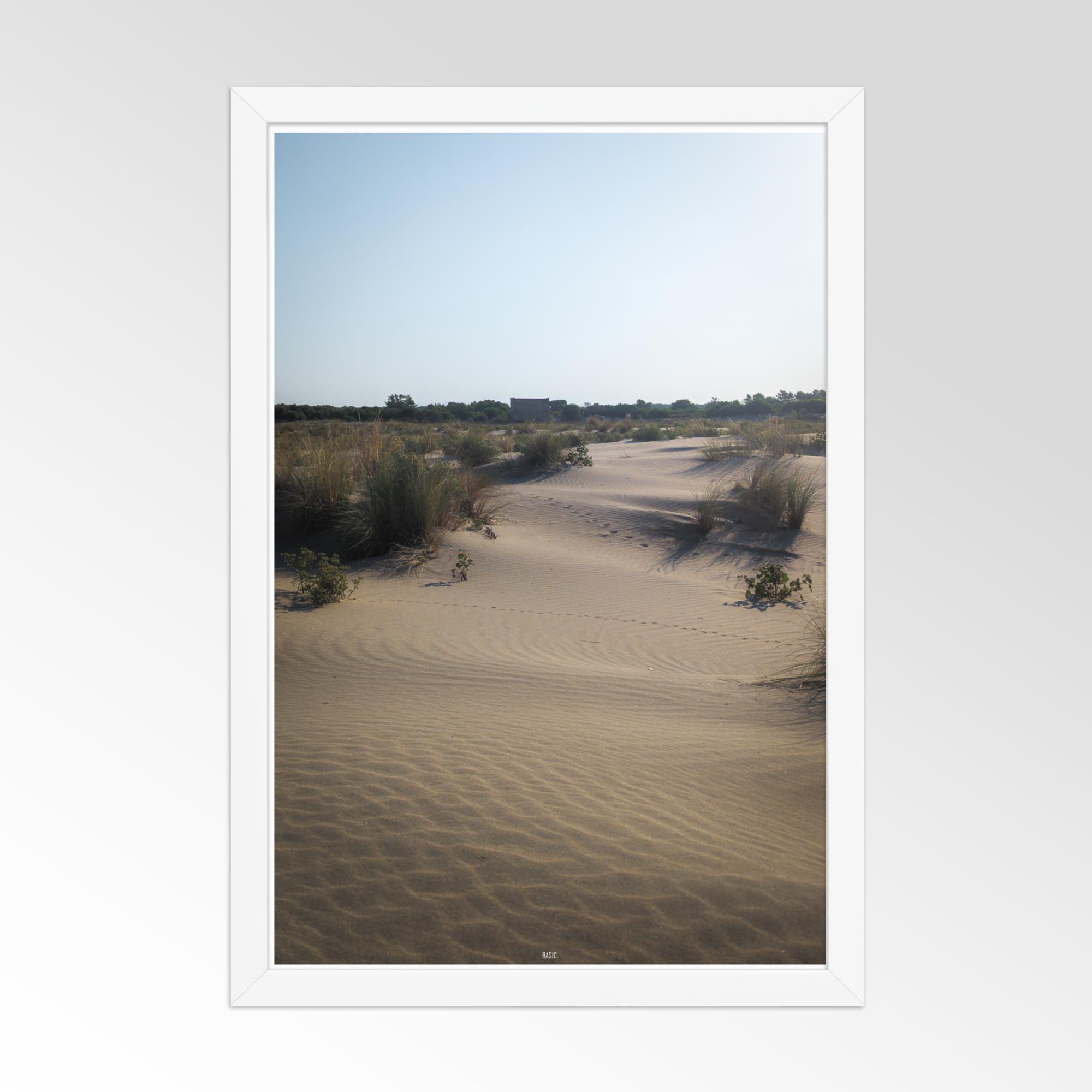 Desert landscape with sand dunes and sparse vegetation, framed in white.