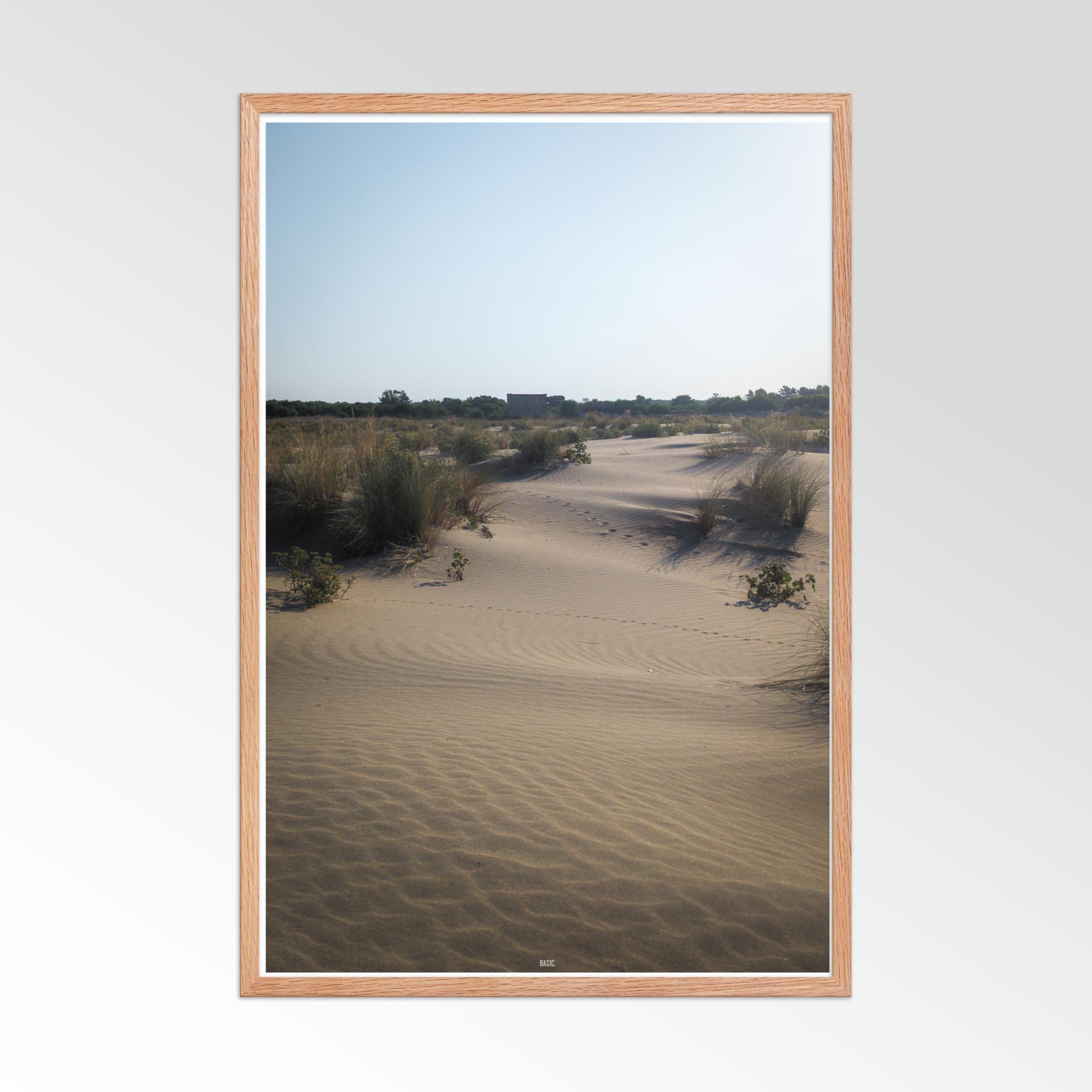 Framed photograph of a desert landscape with sand dunes and sparse vegetation.