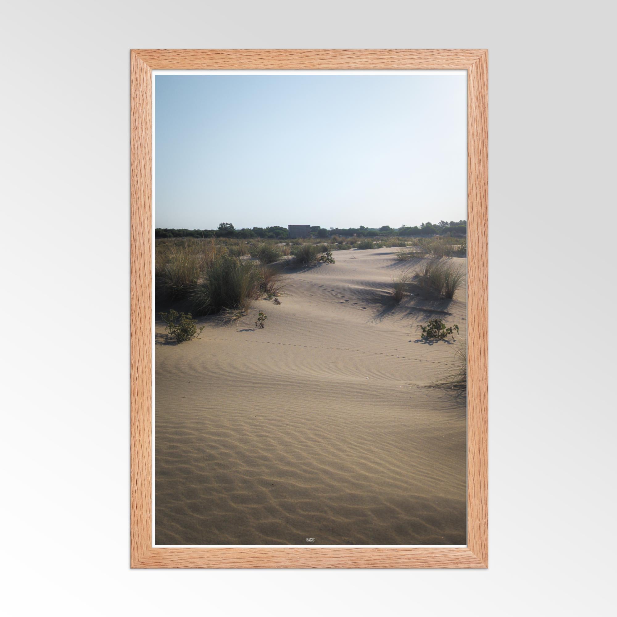 Framed photograph of a desert landscape with sand dunes and sparse vegetation.