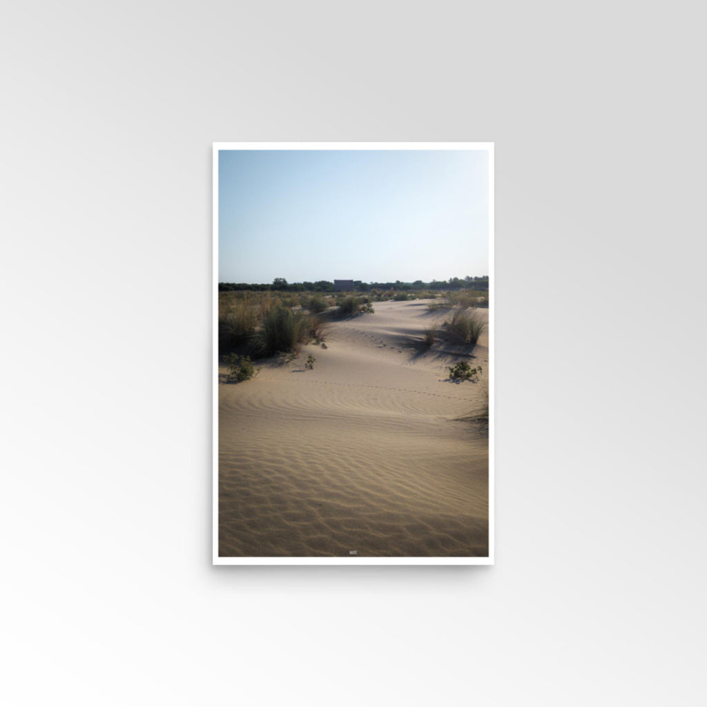 Desert landscape with sand dunes and sparse vegetation under a clear blue sky.