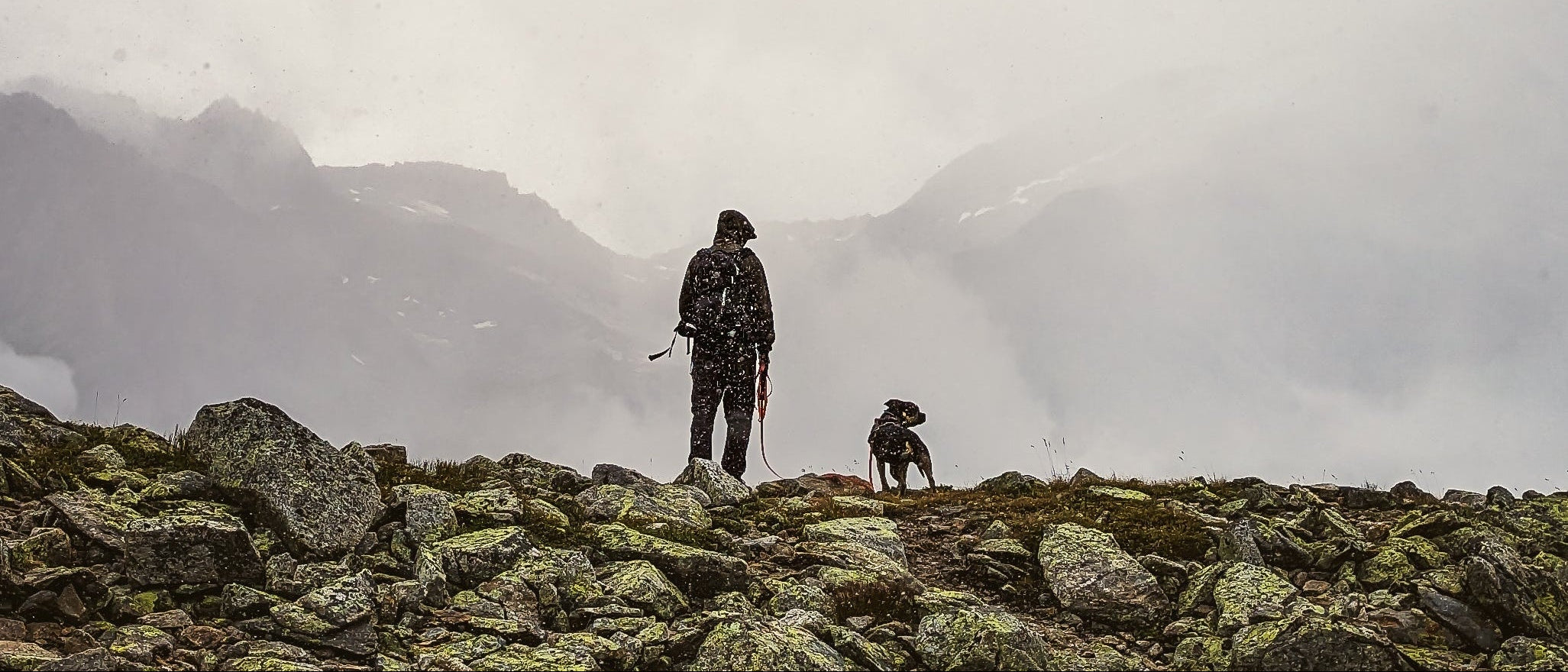 Person and dog standing on a rocky mountain with foggy background